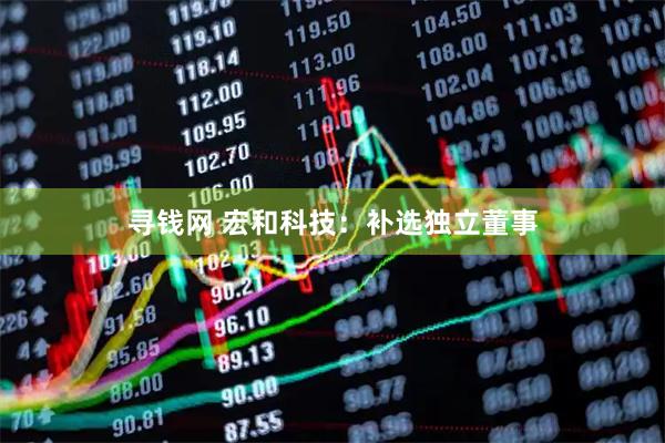 寻钱网 宏和科技：补选独立董事