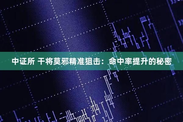 中证所 干将莫邪精准狙击：命中率提升的秘密