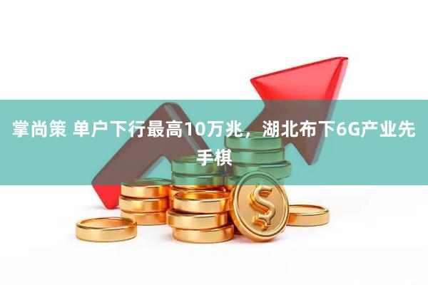 掌尚策 单户下行最高10万兆，湖北布下6G产业先手棋